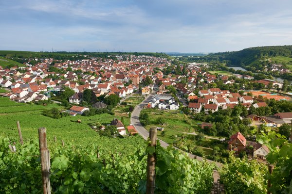 image_manager__G1_mundelsheim