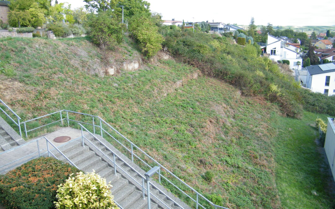 Bauplatz mit unverbaubarer Süd-Aussicht in Kirchheim/Neckar mit 978 m²